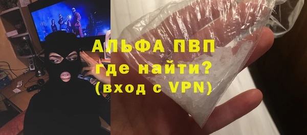 стаф Алзамай
