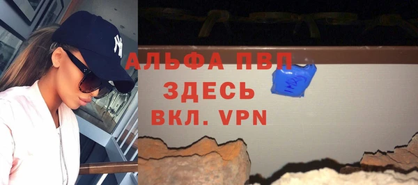 стаф Алзамай