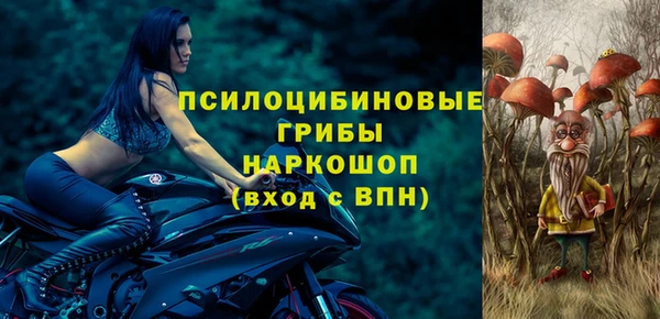 спайс Козловка