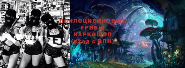 хмурый Алексин