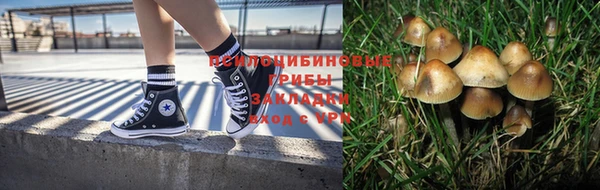 хмурый Алексин