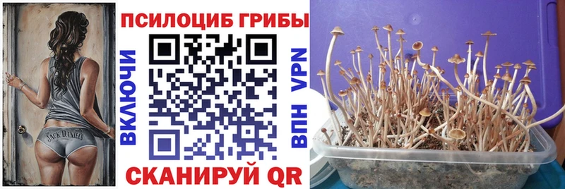 купить наркотик  Жигулёвск  Галлюциногенные грибы ЛСД 